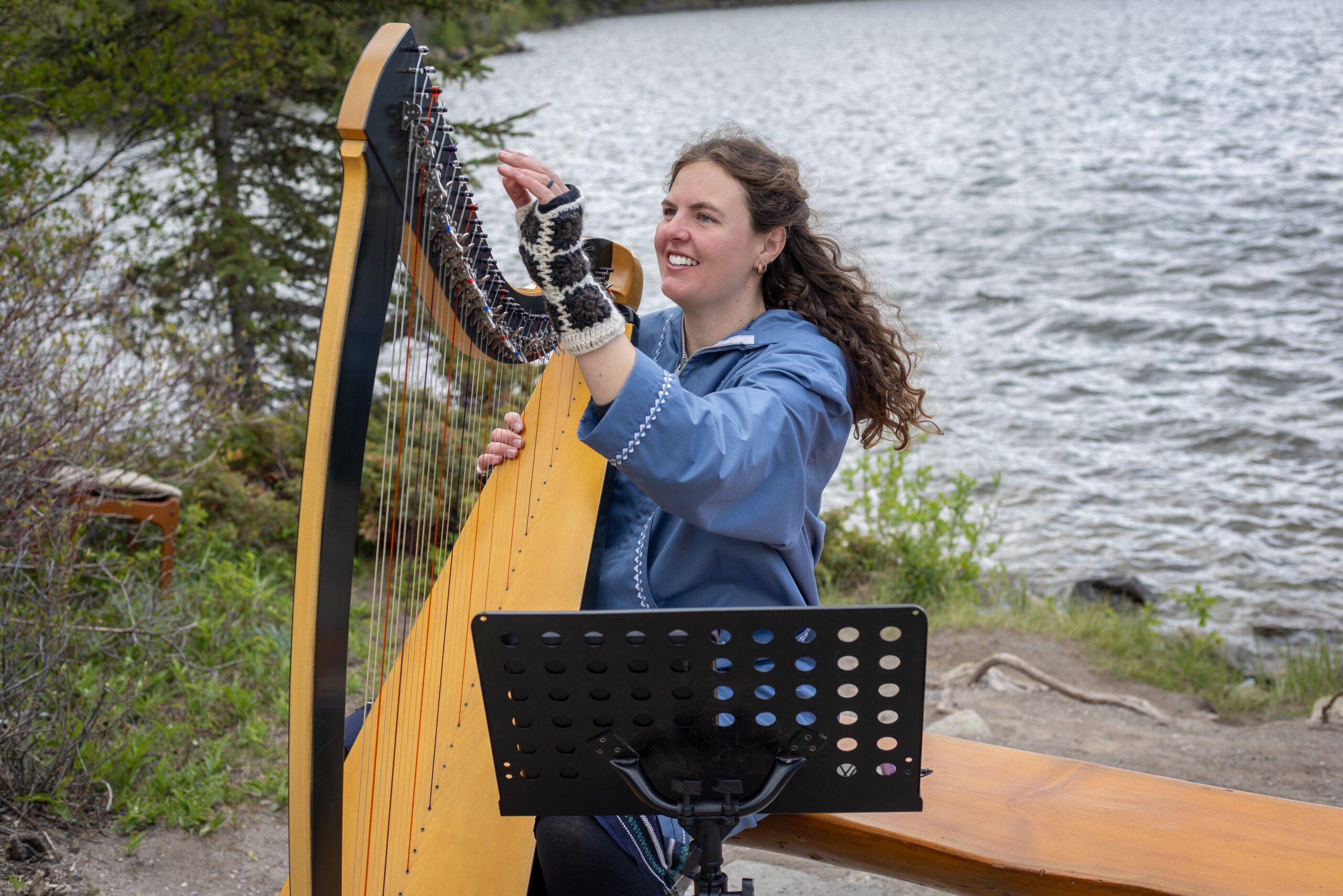 The Wild Harpist